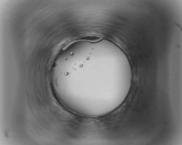 X0000103270193200809122143