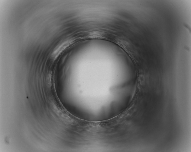 X0000103270194200809122143