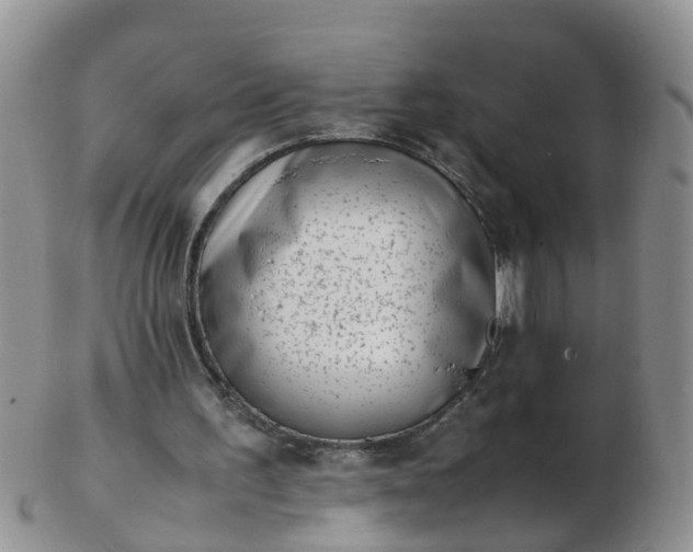 X0000103270195200809122143