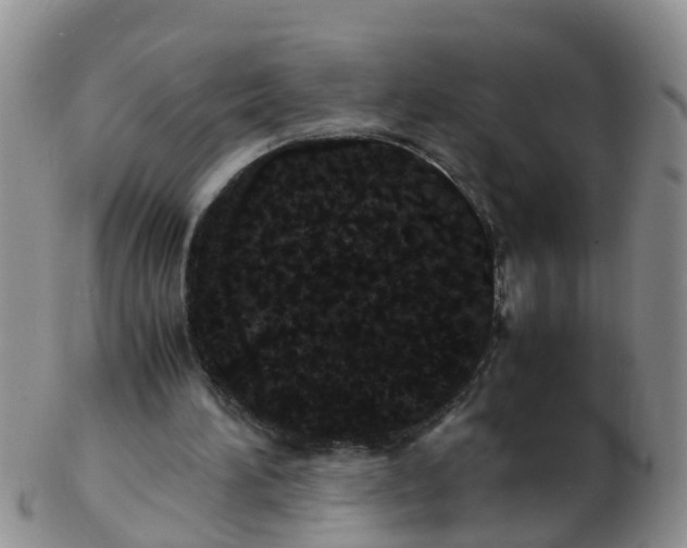 X0000103270196200809122143