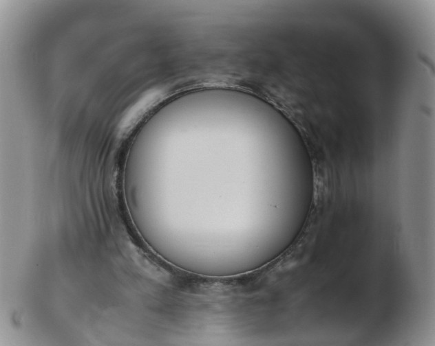 X0000103270197200809122143