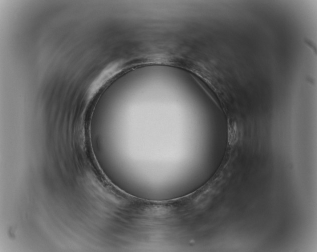 X0000103270198200809122143