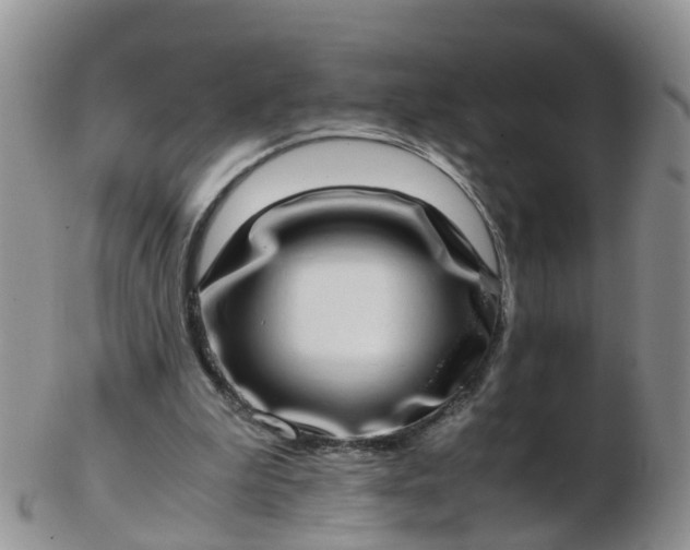 X0000103270199200809122143