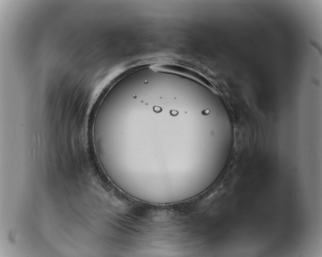 X0000103270200200809122143