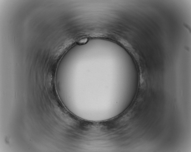 X0000103270201200809122143