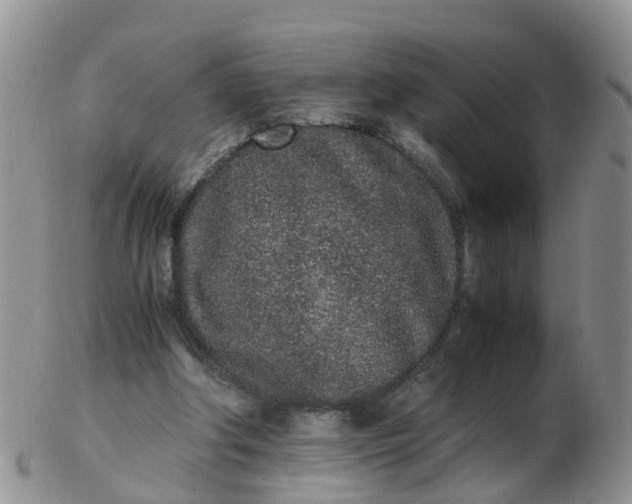 X0000103270202200809122143