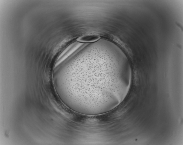 X0000103270203200809122143