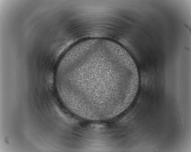 X0000103270208200809122143