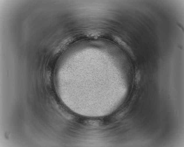 X0000103270209200809122143