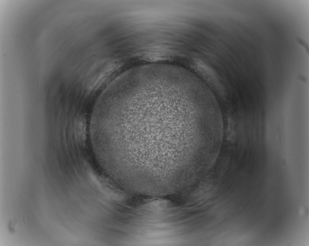 X0000103270210200809122143