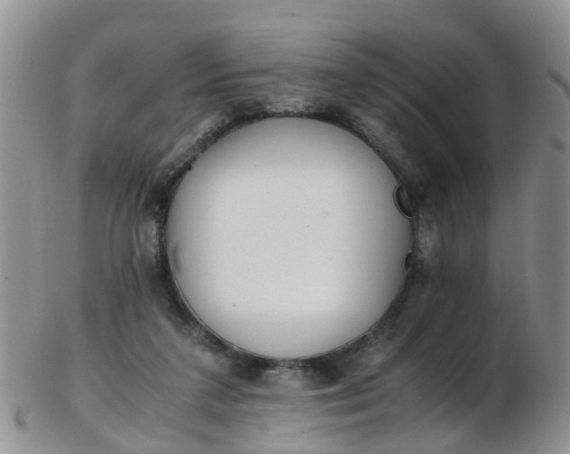 X0000103270211200809122143