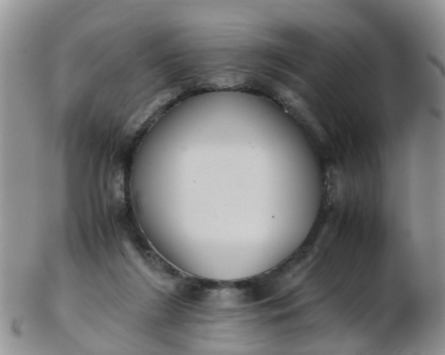 X0000103270212200809122143
