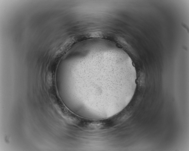 X0000103270213200809122143