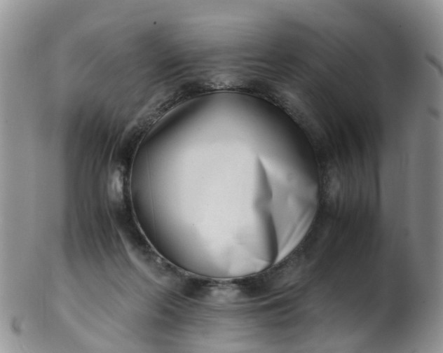 X0000103270214200809122143