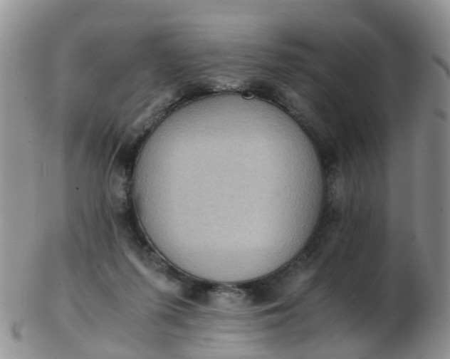 X0000103270215200809122143