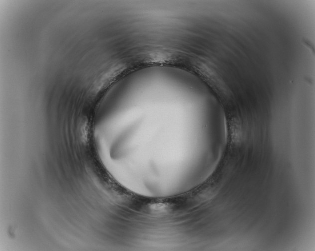 X0000103270216200809122143