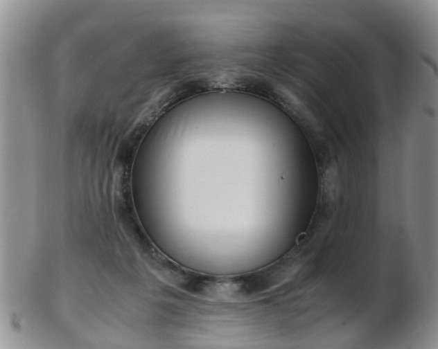 X0000103270217200809122143