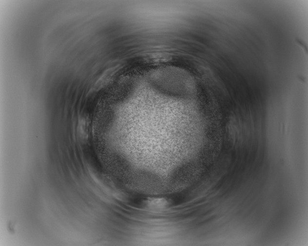 X0000103270218200809122143