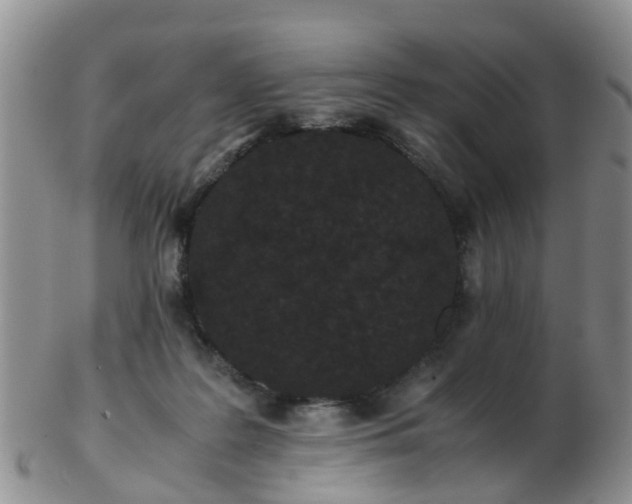X0000103270219200809122143