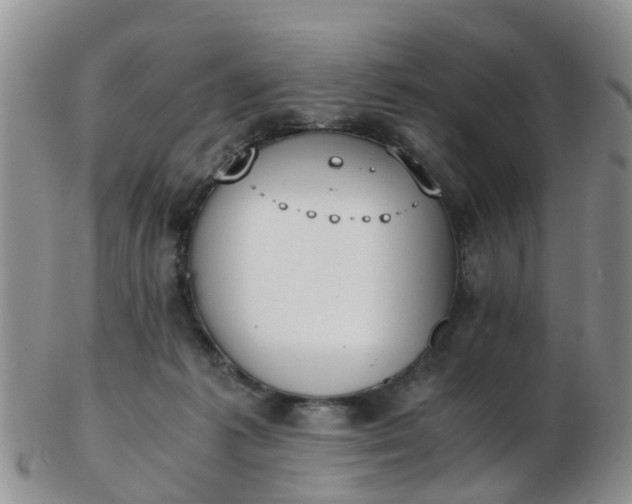 X0000103270221200809122143