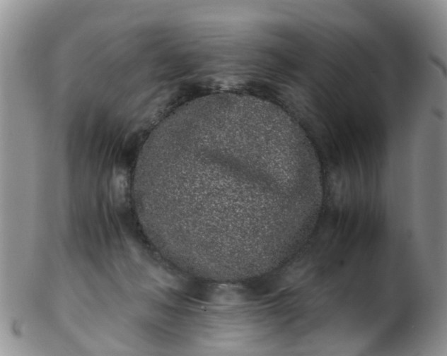 X0000103270222200809122143