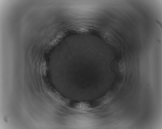 X0000103270223200809122143