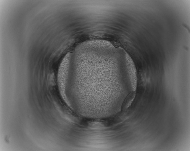 X0000103270224200809122143