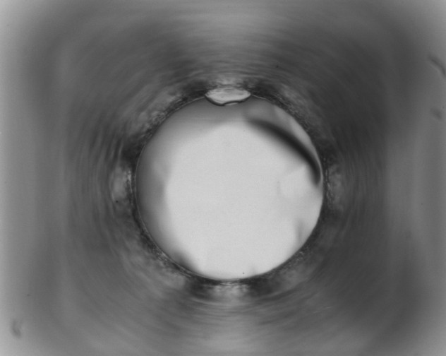 X0000103270225200809122143