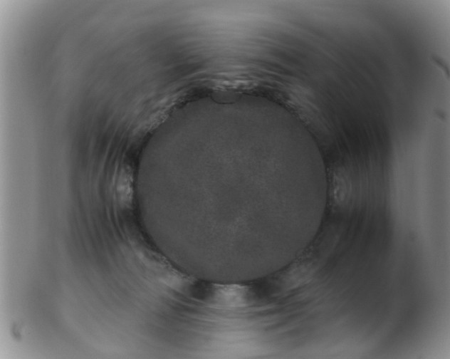 X0000103270226200809122143
