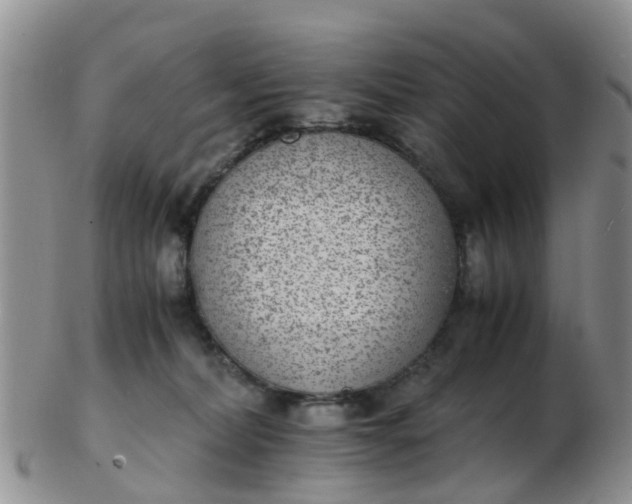 X0000103270228200809122143