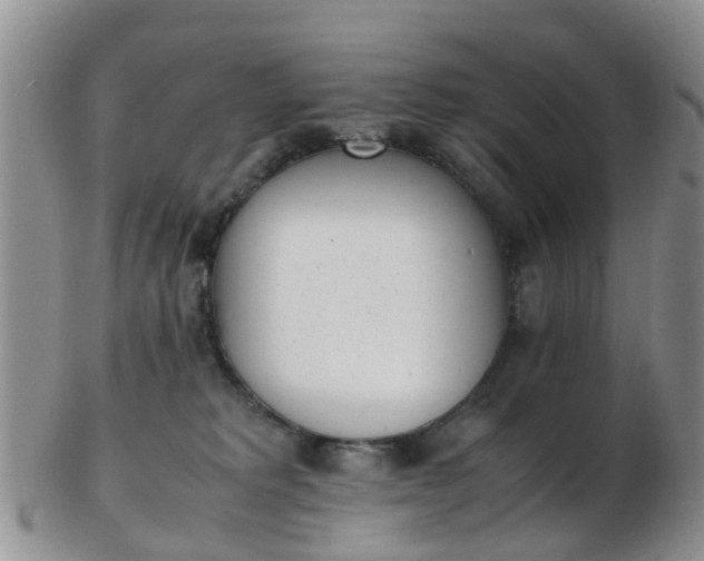 X0000103270229200809122143