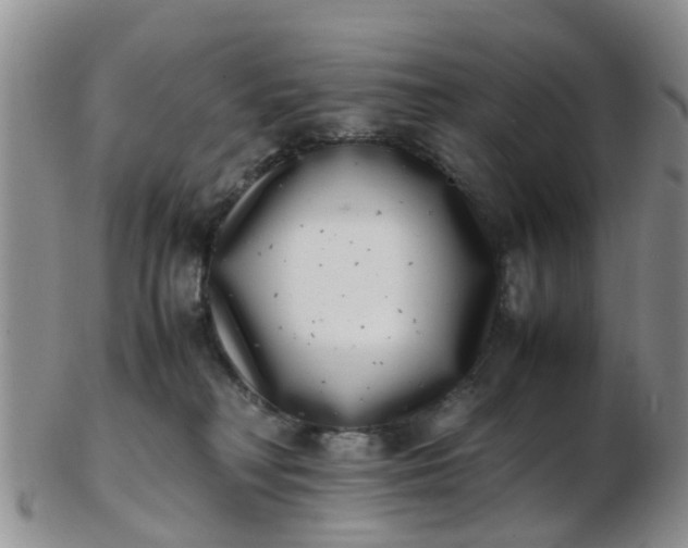 X0000103270230200809122143