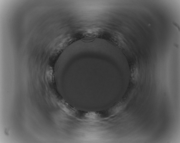 X0000103270231200809122143