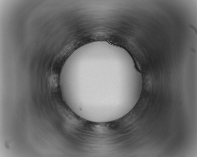 X0000103270232200809122143