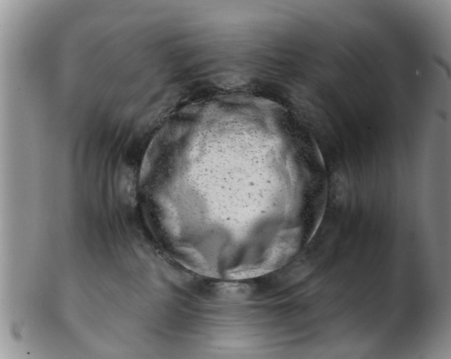 X0000103270234200809122143