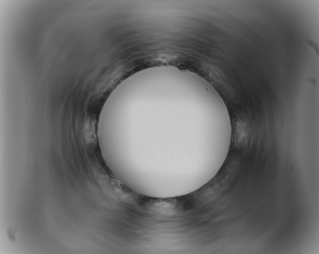 X0000103270236200809122143