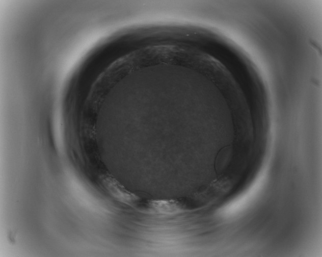 X0000103270239200809122143