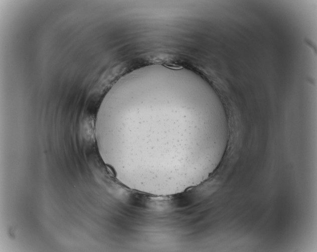 X0000103270240200809122143
