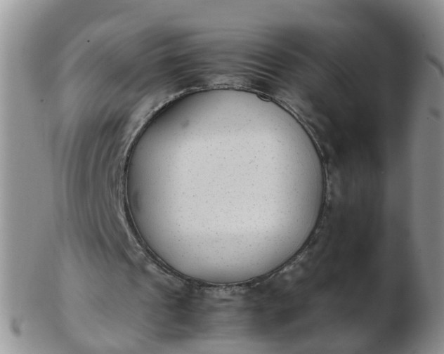 X0000103270241200809122142