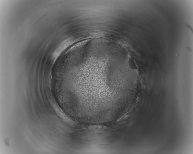 X0000103270242200809122142