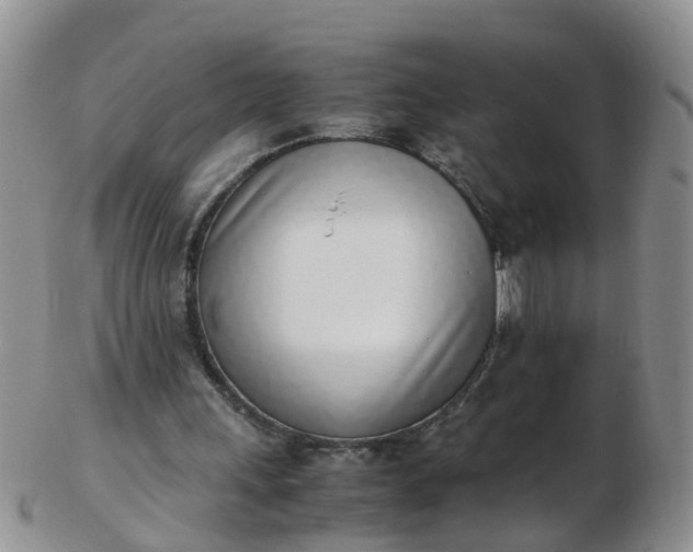 X0000103270243200809122142