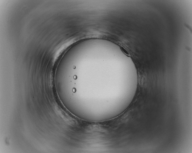 X0000103270244200809122142