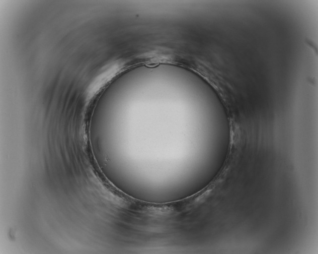 X0000103270245200809122142