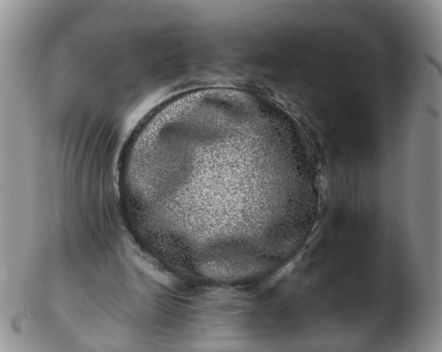 X0000103270246200809122142