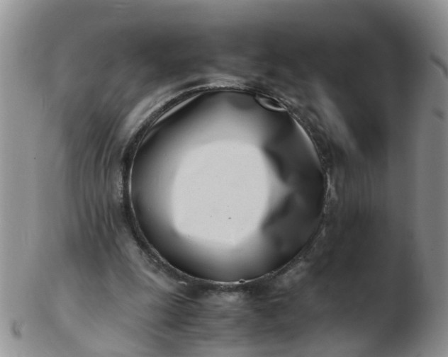 X0000103270247200809122142