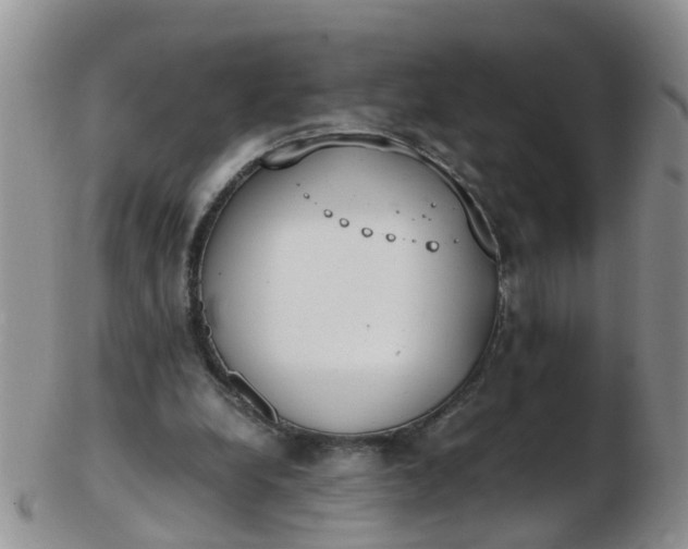 X0000103270248200809122142