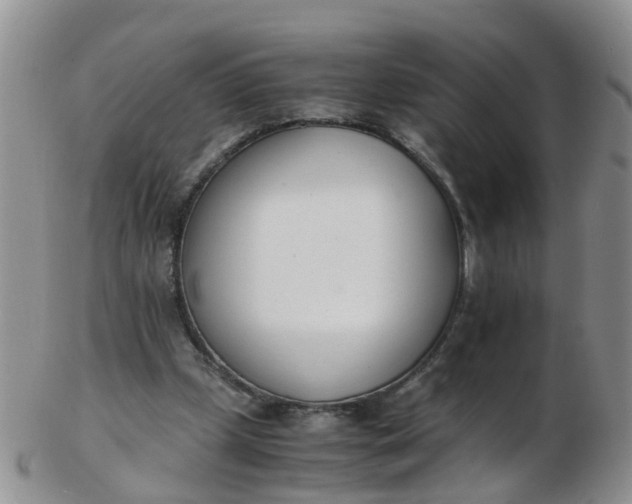 X0000103270249200809122142