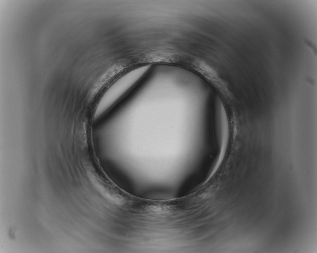 X0000103270250200809122142
