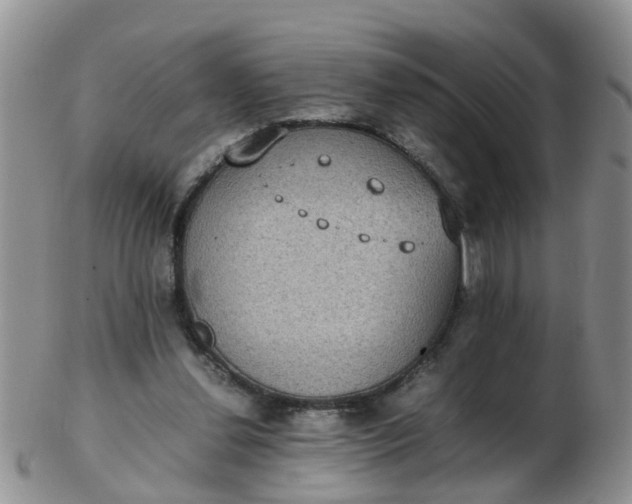 X0000103270252200809122142