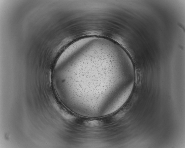X0000103270253200809122142